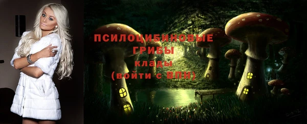 соль курить ск Гатчина