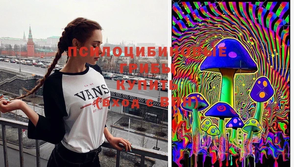 MDMA Premium VHQ Ладушкин